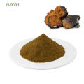 Polysaccharide 50% Siberian Organic Chaga Mushroom Extract Powder Chaga Extract